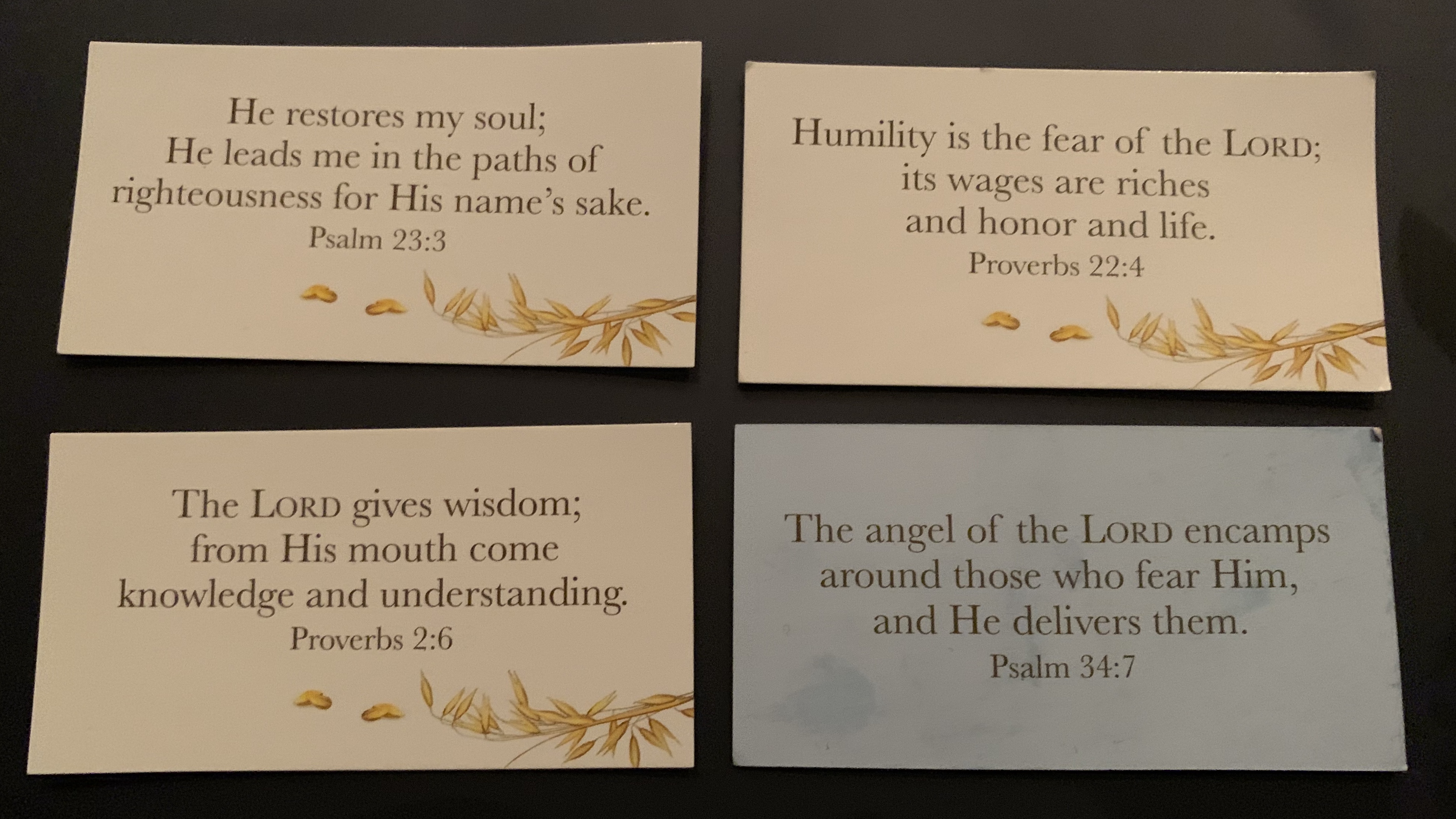 The Pauls - 2019 Promise Cards